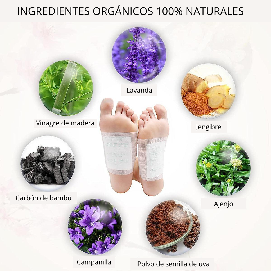 Parches Desintoxicantes Naturales - Kinoki Detox™